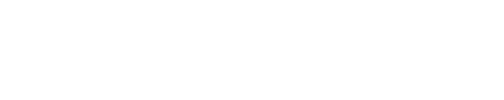 20260316-DN-Logo-White